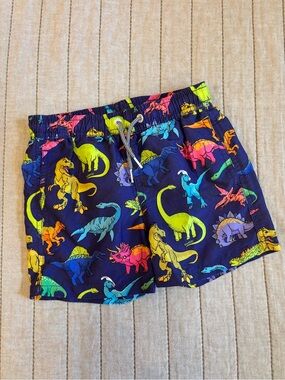 Kids Dinosaur Swim Trunks